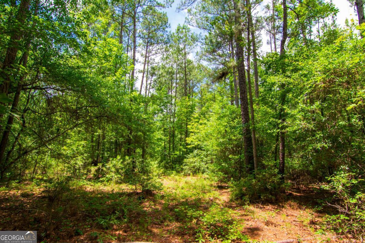 0 White Road Property Photo 15
