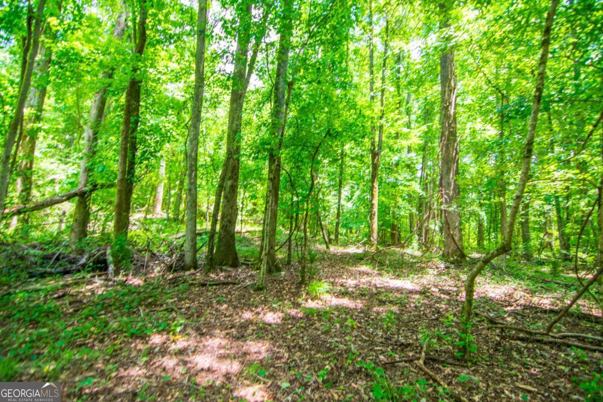 0 White Road Property Photo 16