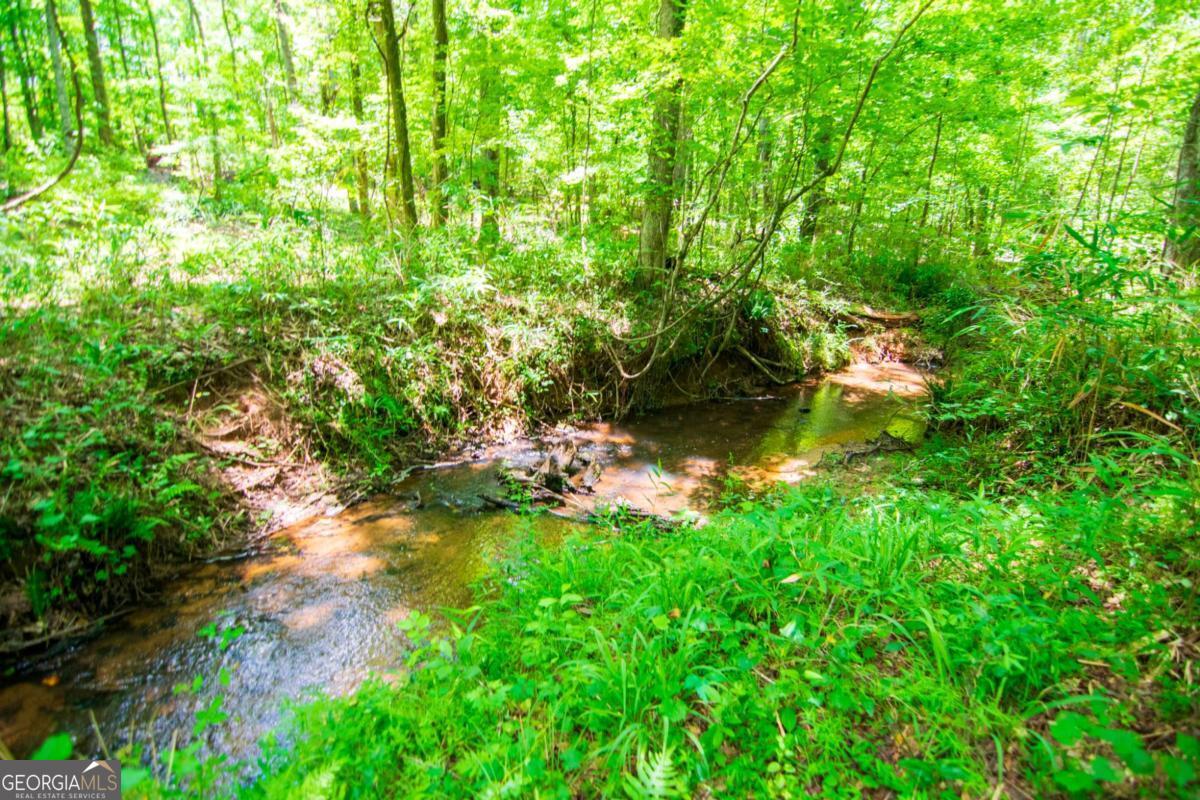 0 White Road Property Photo 17