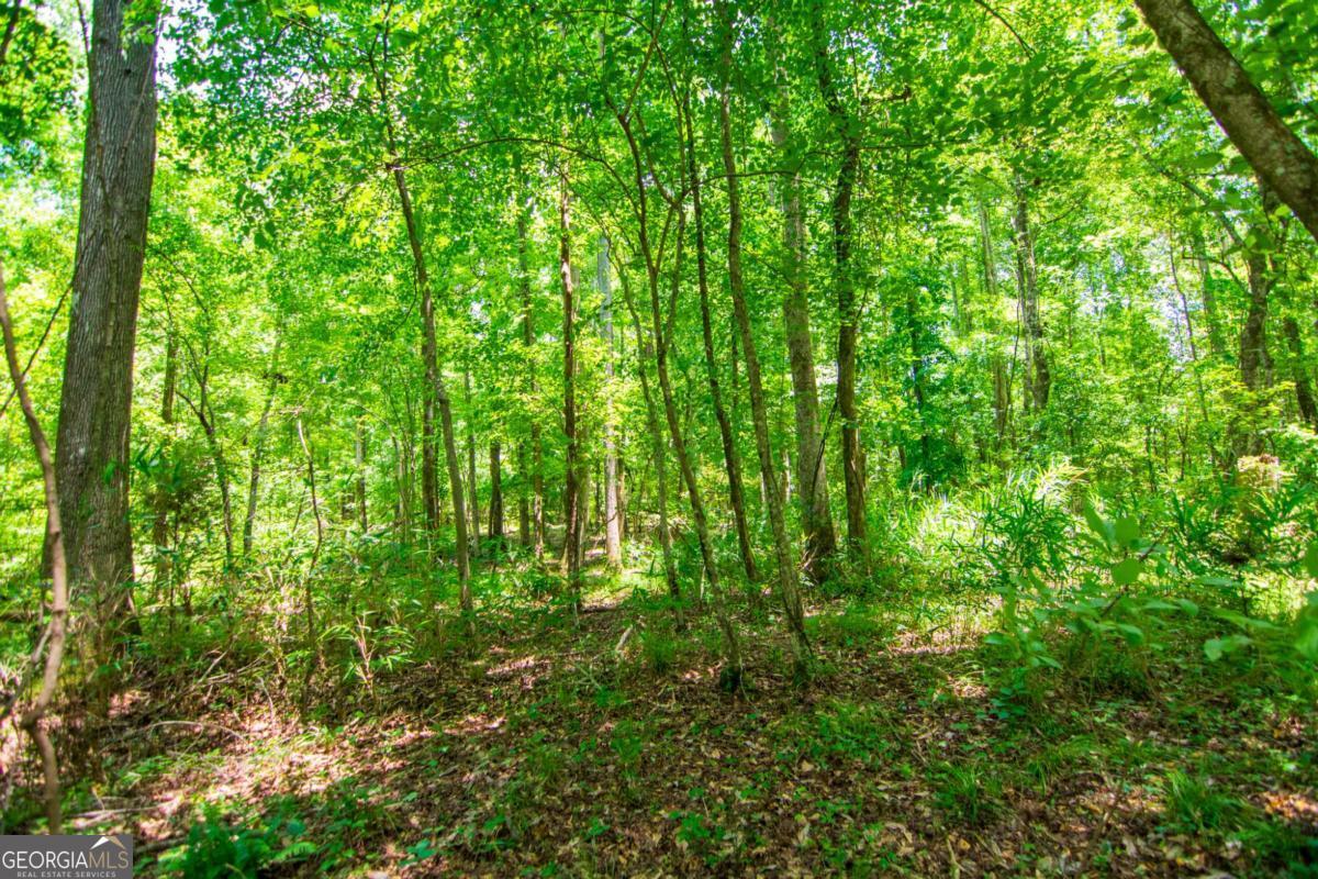 0 White Road Property Photo 18