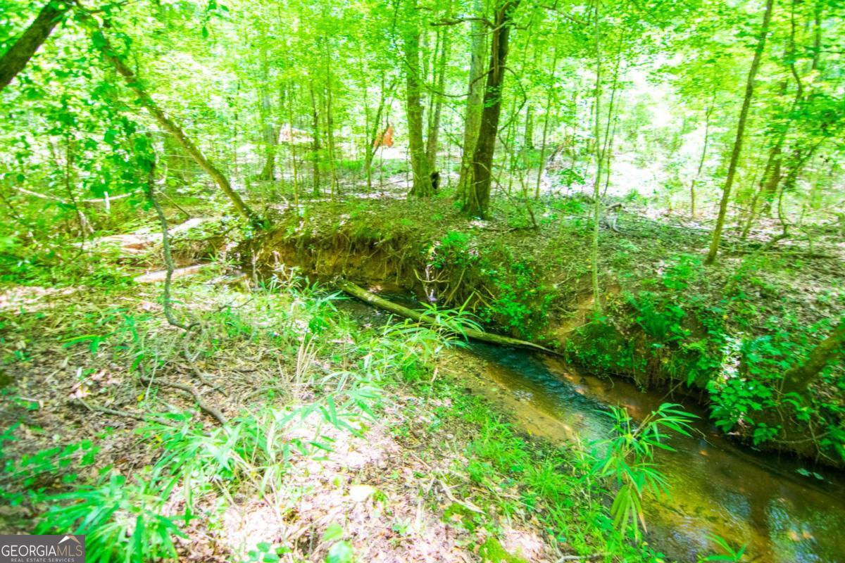 0 White Road Property Photo 20