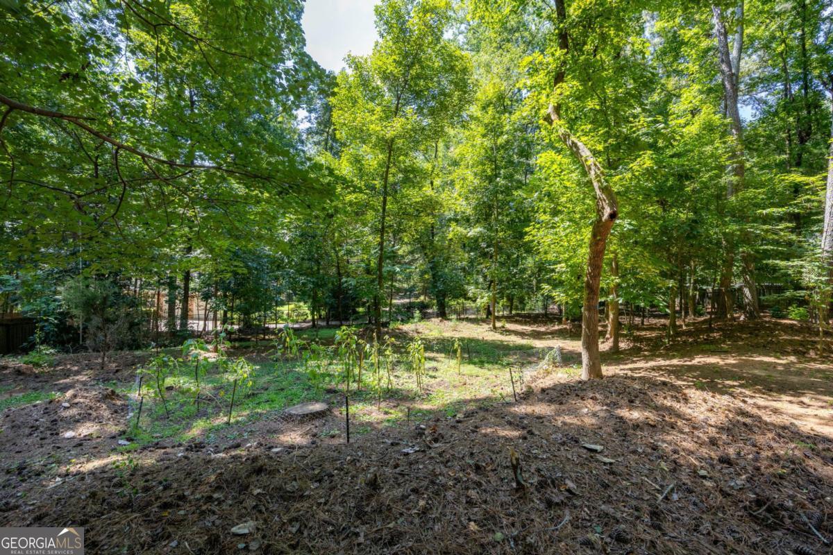 1100 Arya Drive Property Photo 29