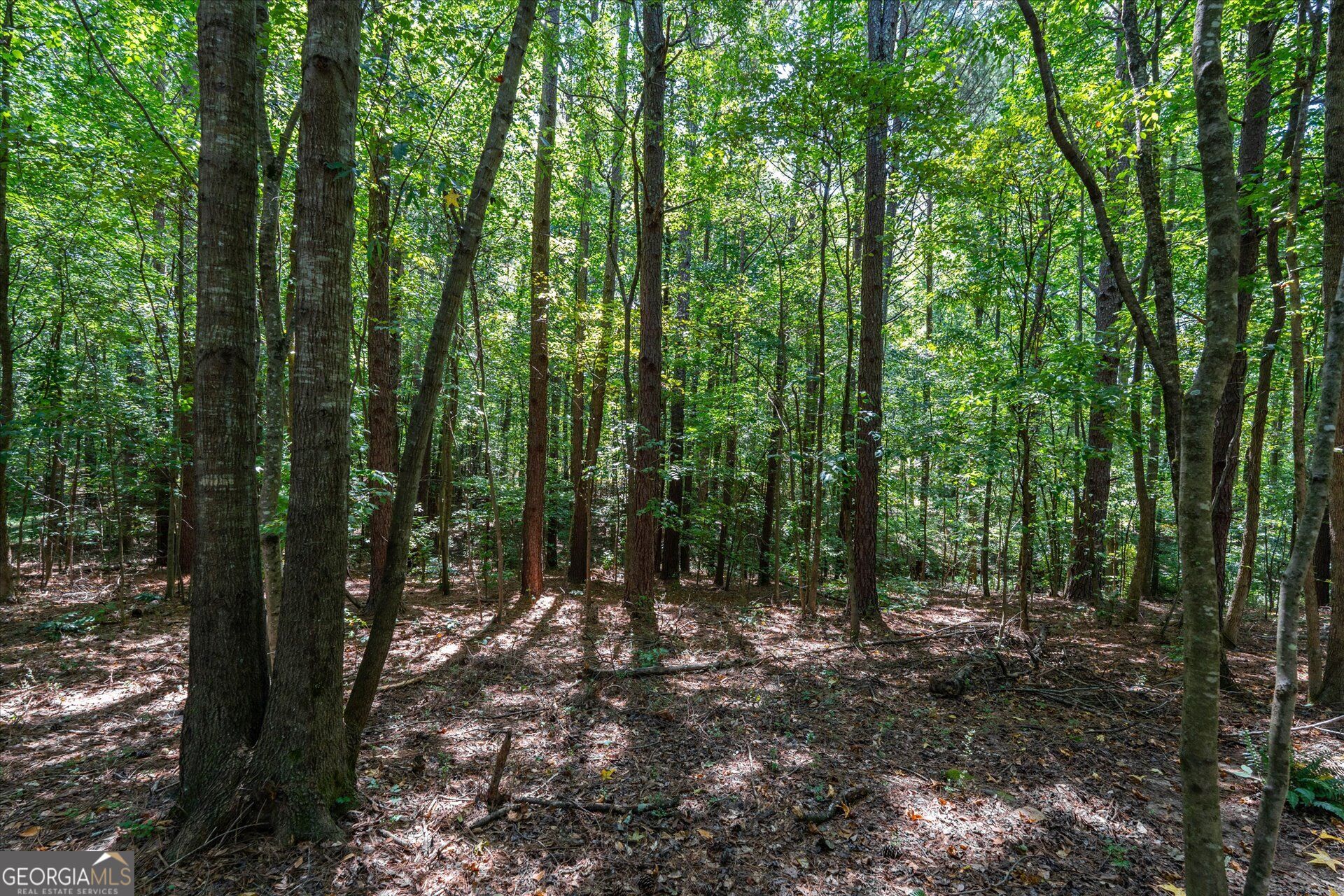 212 Overlook Way Property Photo 48