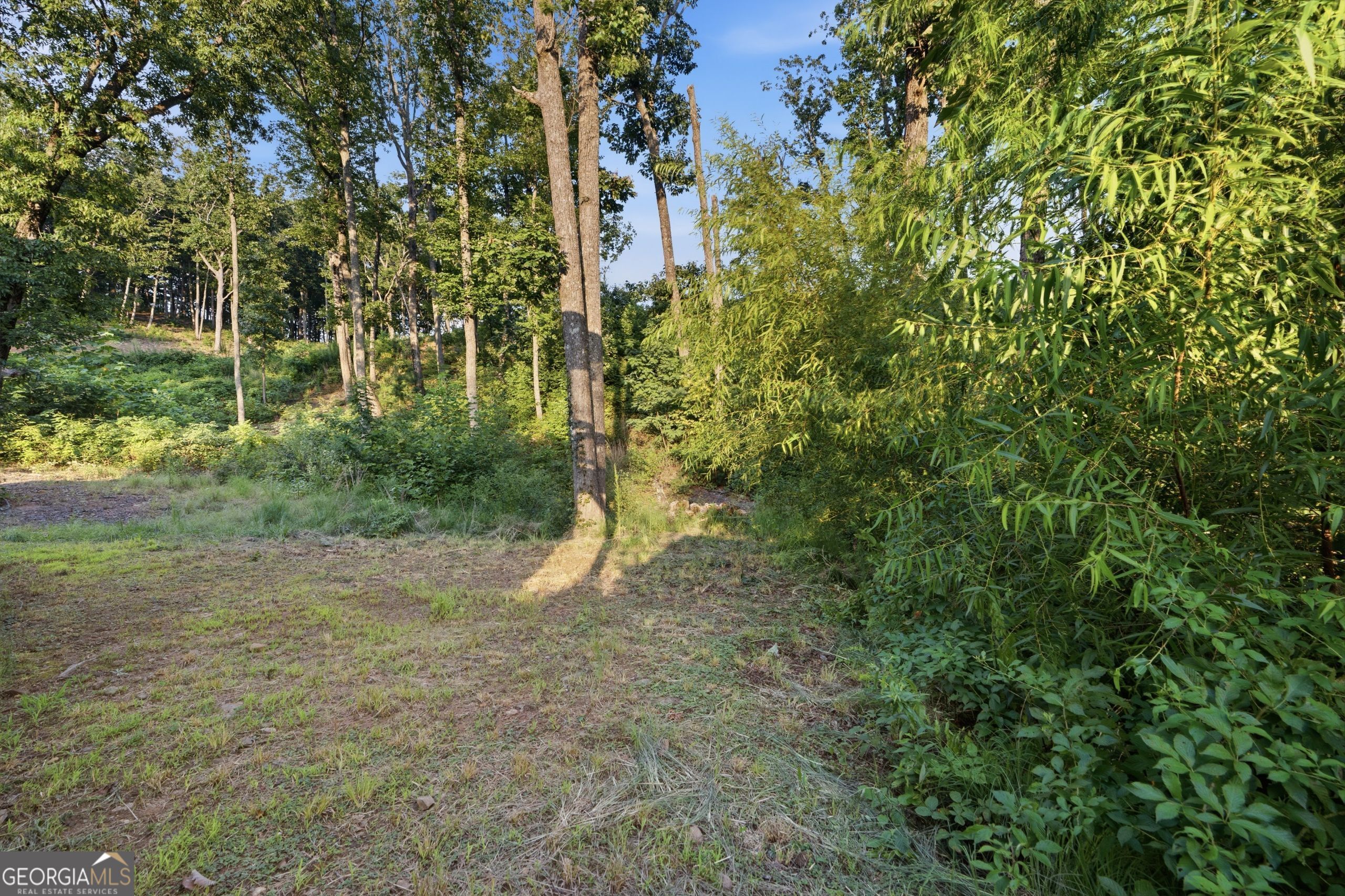 782 High Summit Drive Property Photo 33