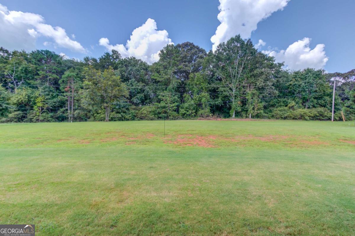 1173 Pine View Trail Property Photo 40