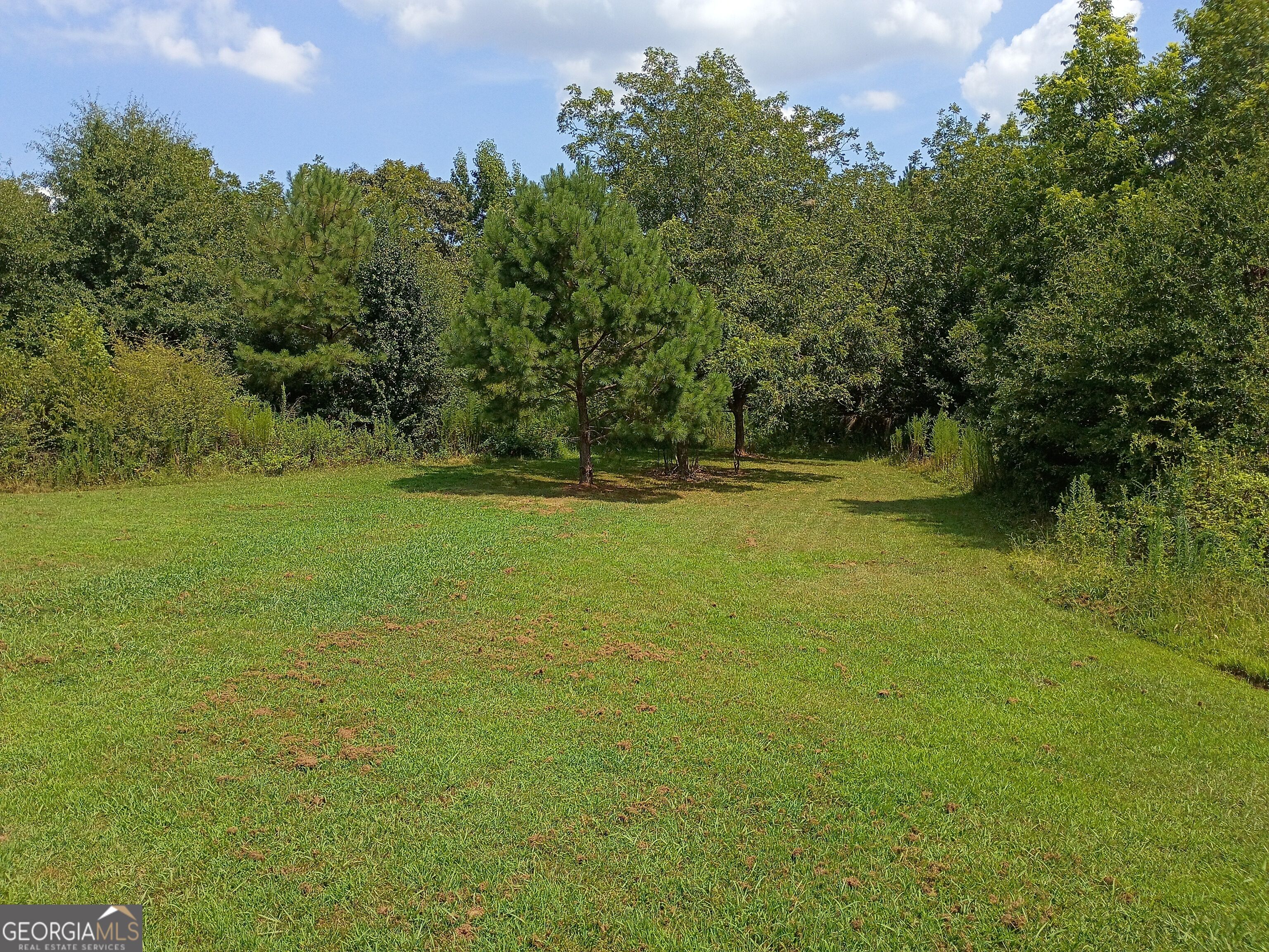 241 Oglesby Drive Property Photo 34
