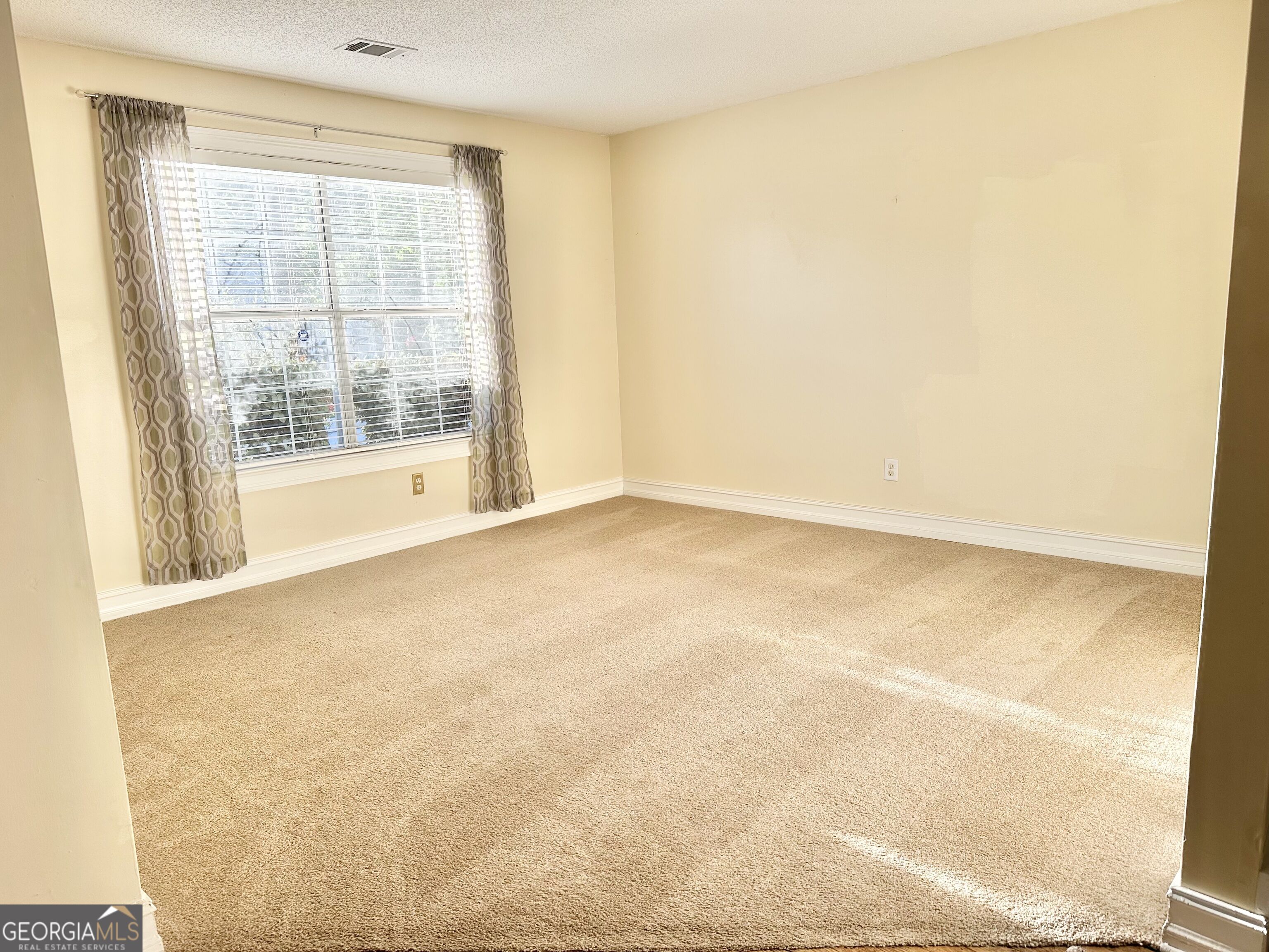 12342 Lakeside Parkway Property Photo 17