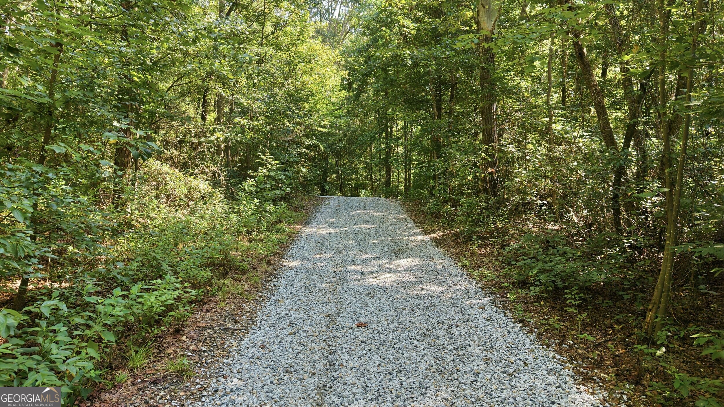 157 Dusty Trail Property Photo 54