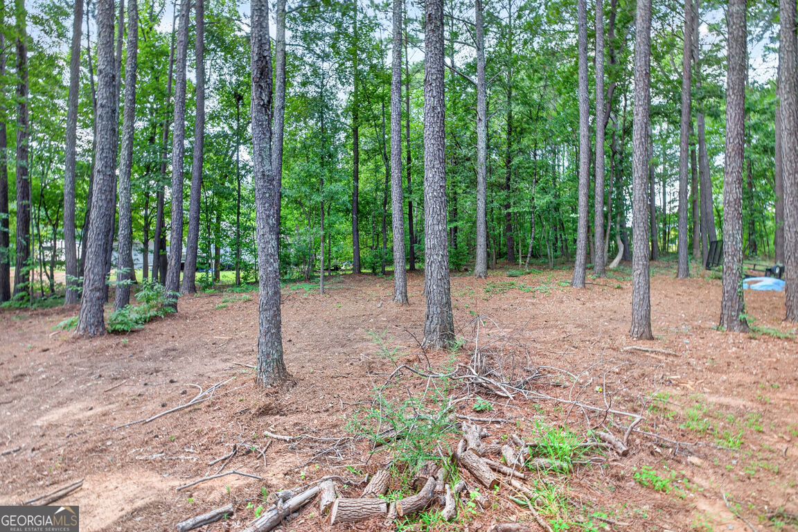 1041 Matthews Way Property Photo 61