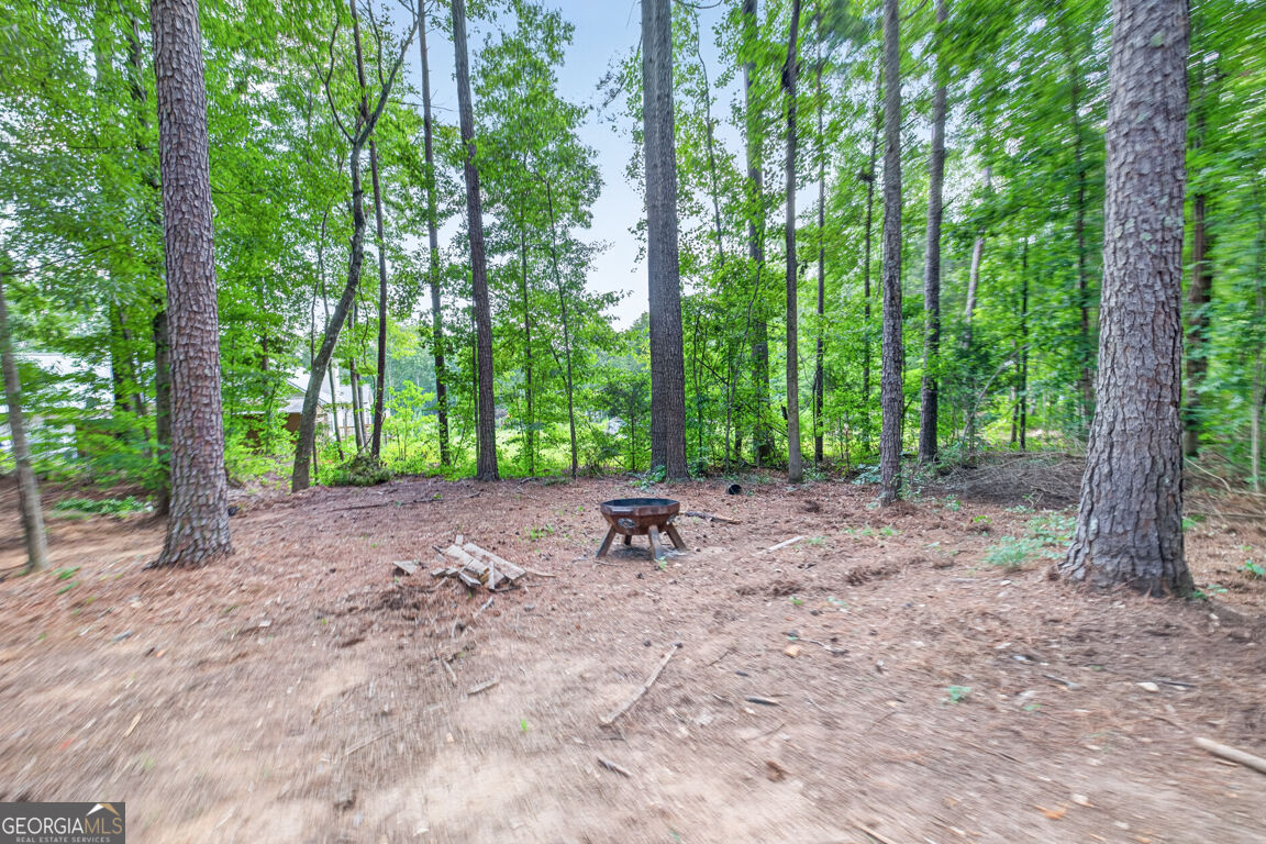 1041 Matthews Way Property Photo 63