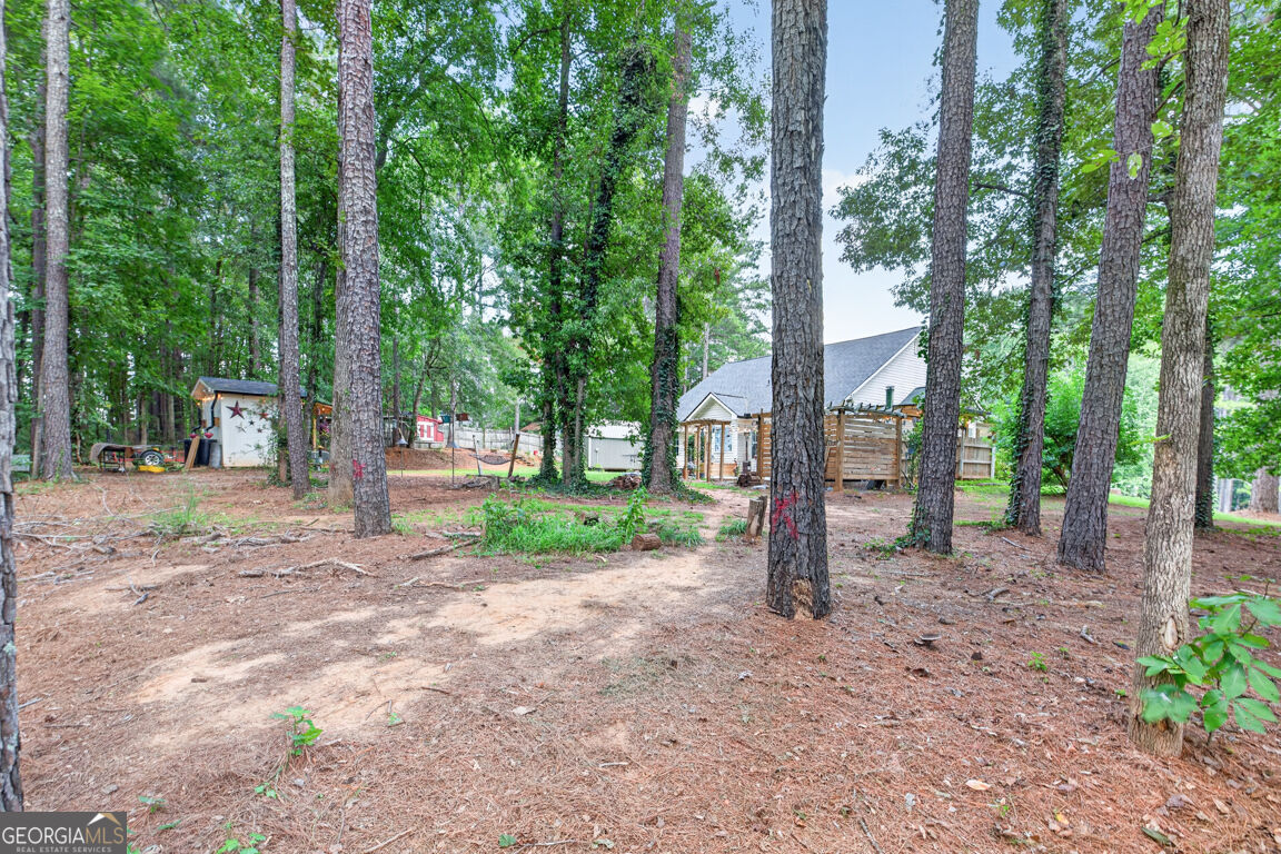 1041 Matthews Way Property Photo 64