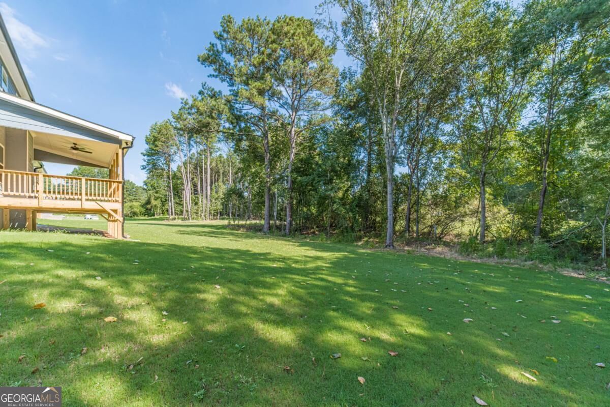 2736 Thomas View Court Property Photo 46