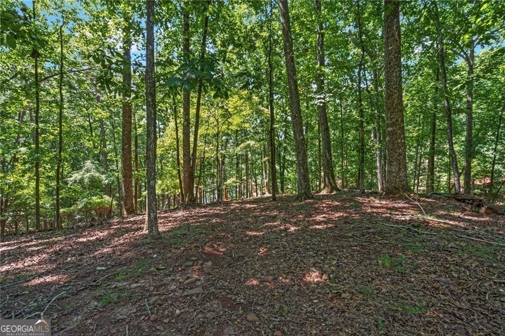 7488 Shadburn Ferry Road Property Photo 83