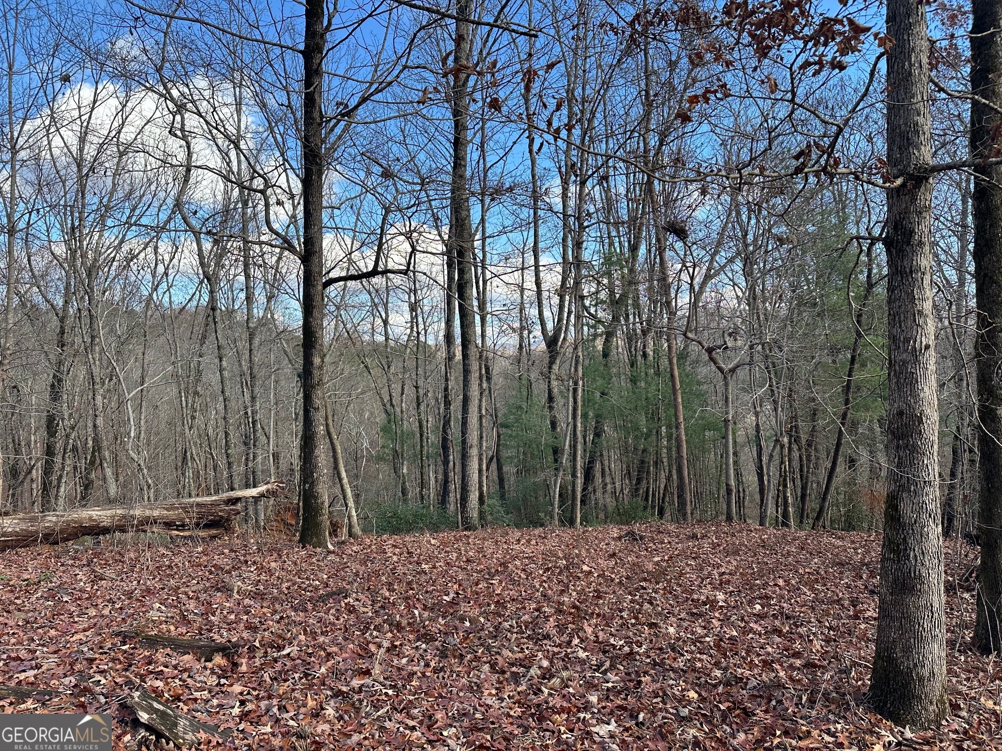200 Mincey Acres Drive Property Photo 1