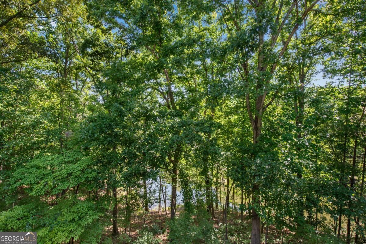 1300 Soap Creek Road Property Photo 49