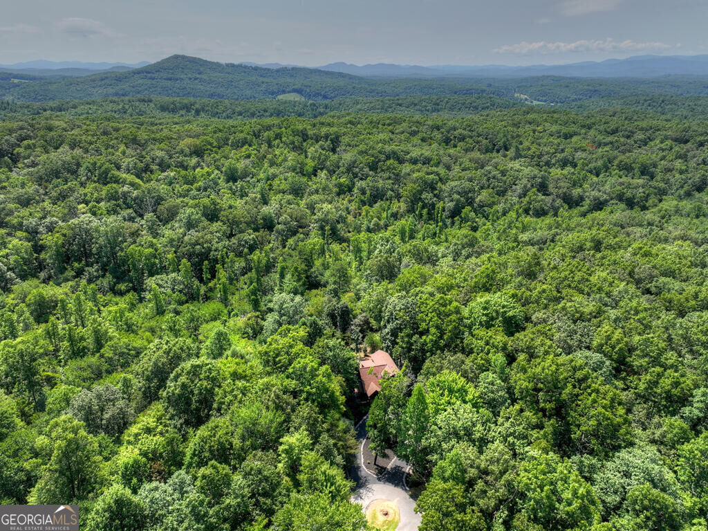 104 Gibbs Trail Property Photo 13