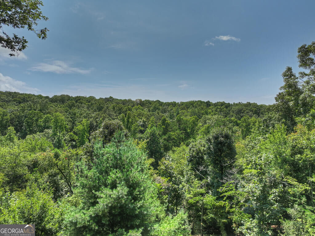 104 Gibbs Trail Property Photo 28