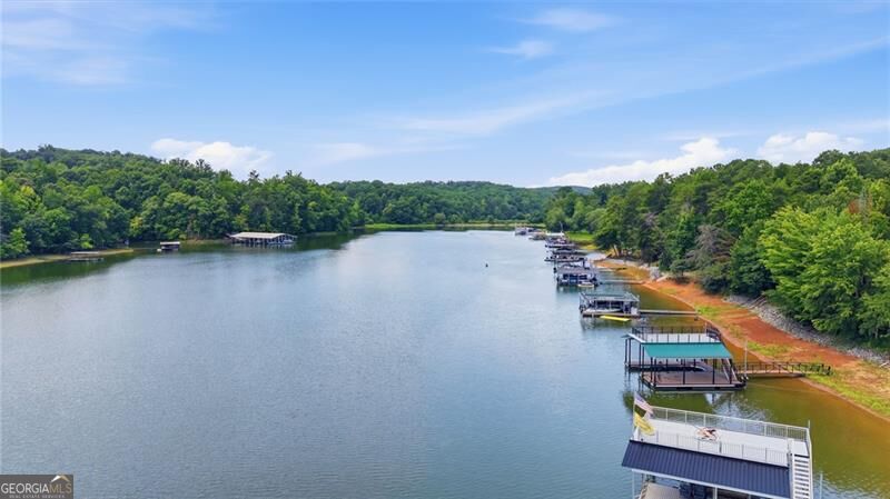4217 Tall Hickory Trail Property Photo 9