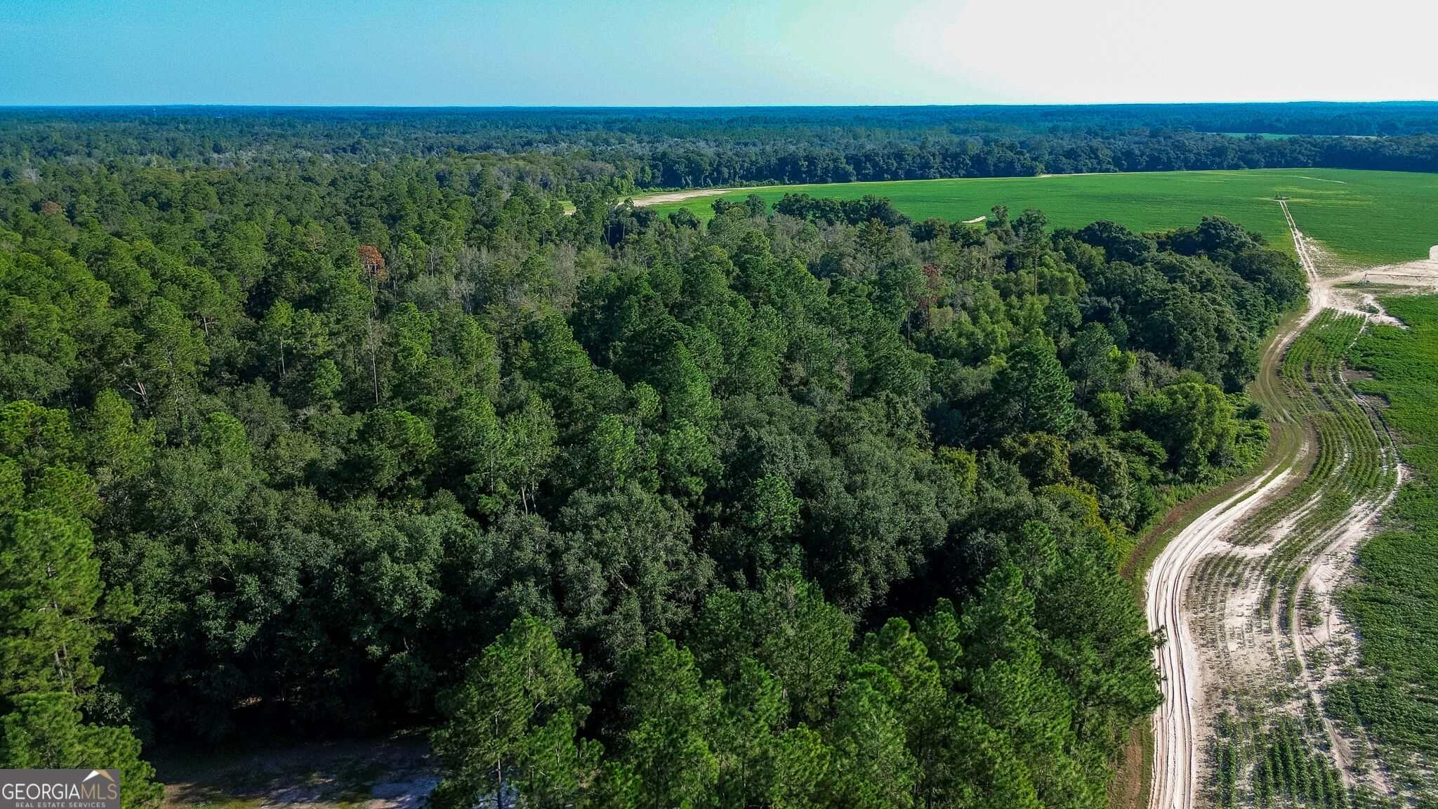 0 Pullen Road Property Photo 4