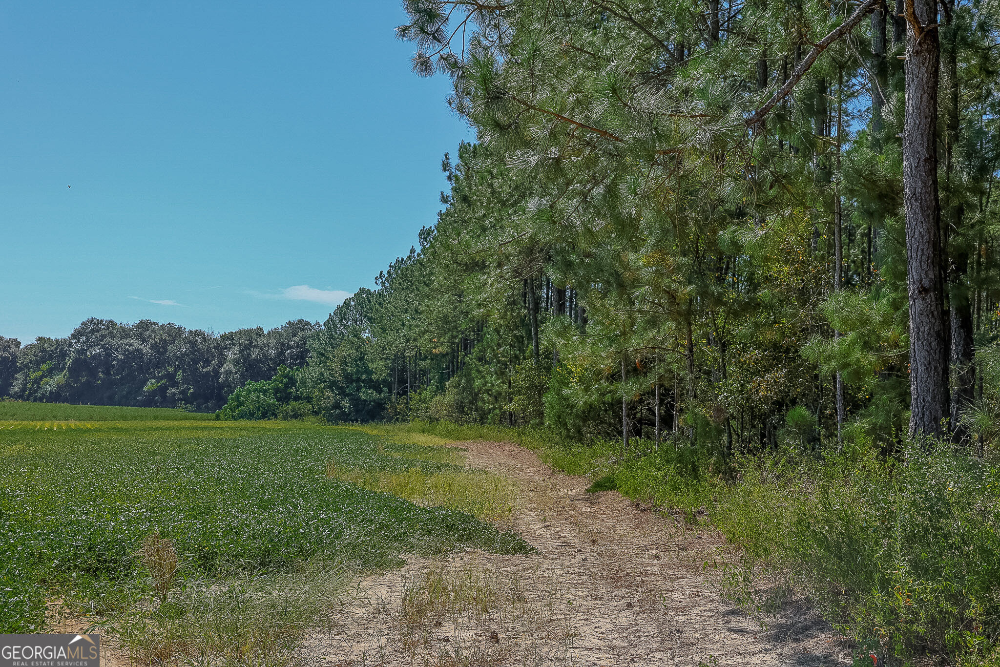 0 Pullen Road Property Photo 5