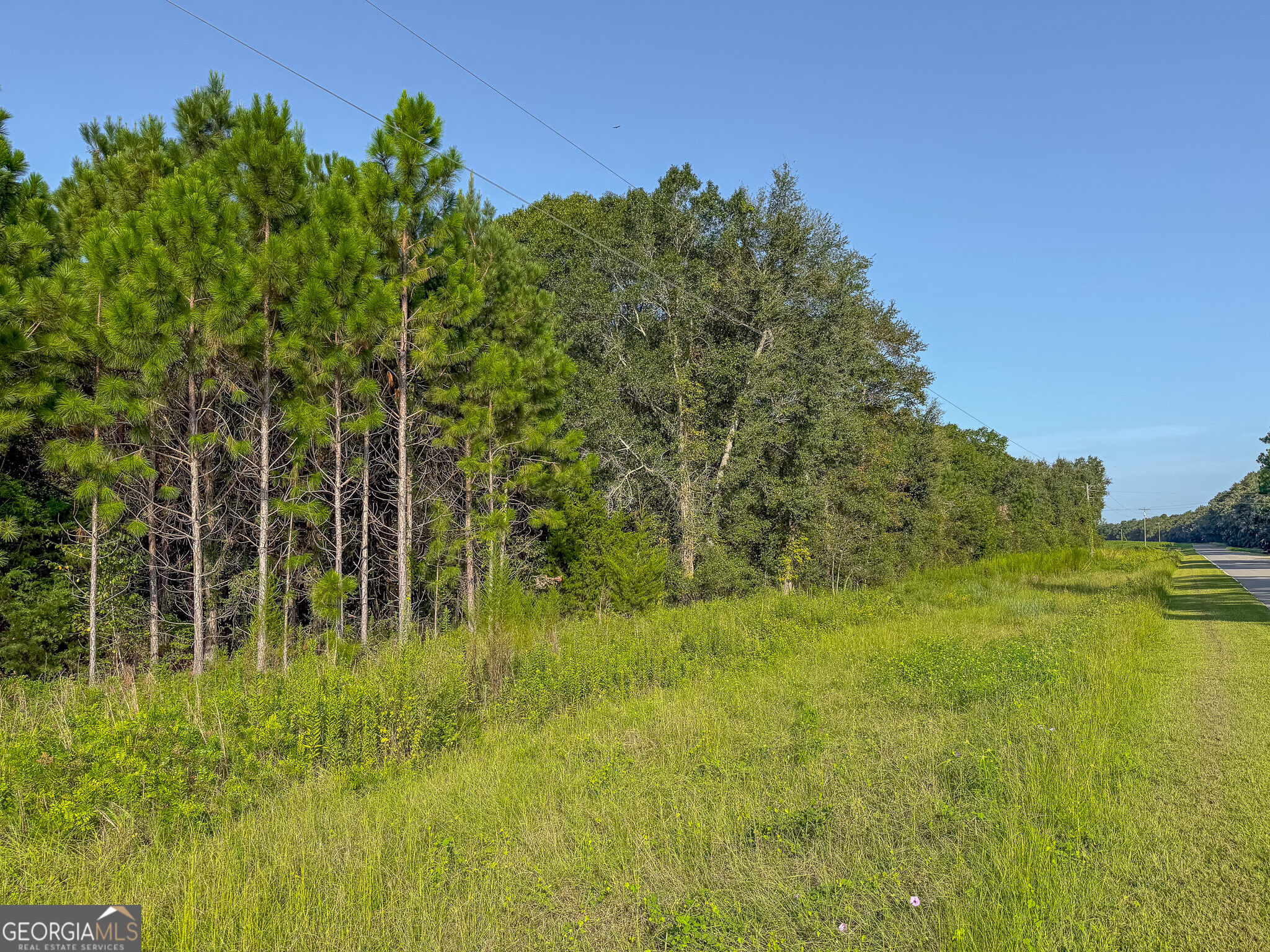 0 Pullen Road Property Photo 7