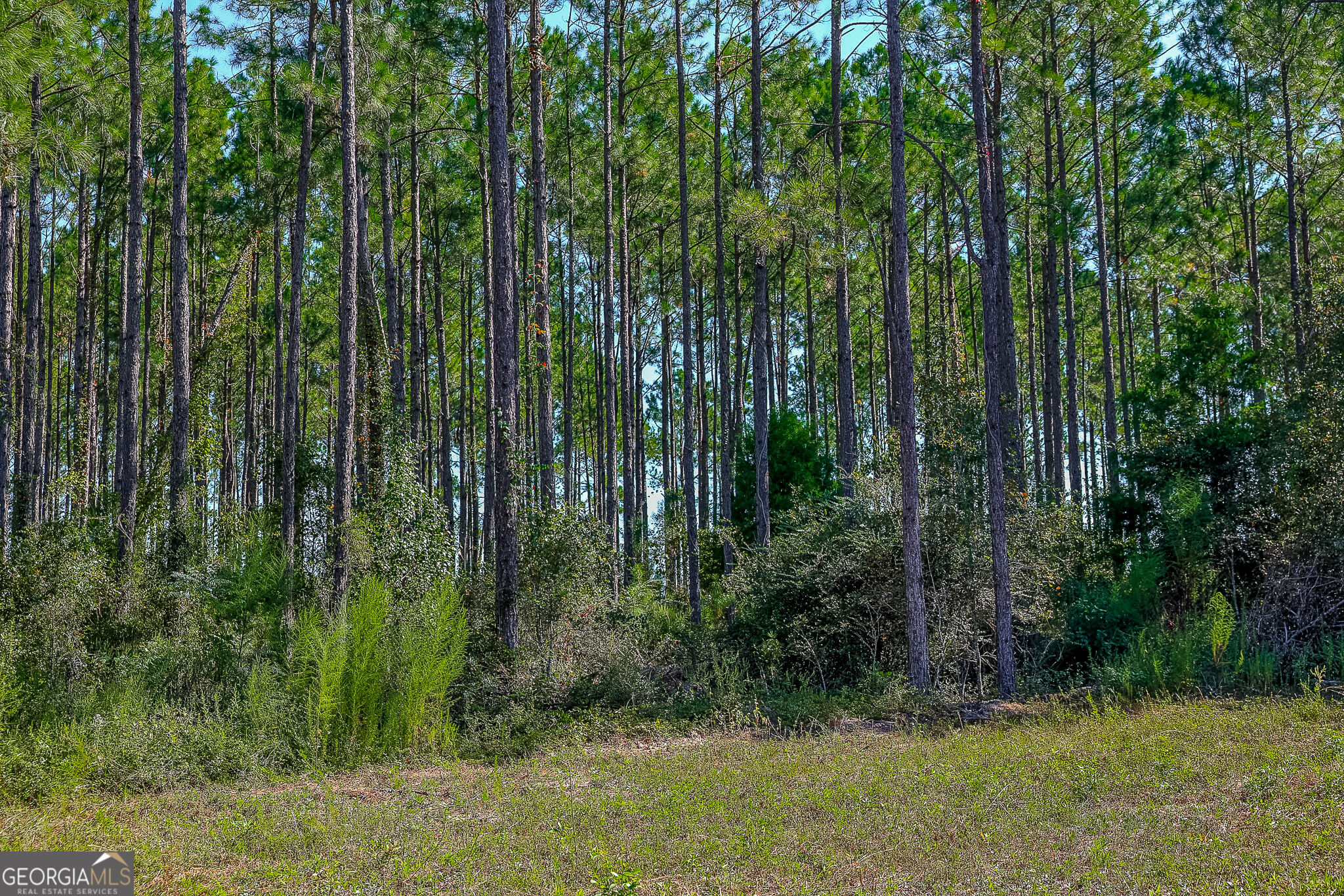 0 Pullen Road Property Photo 11