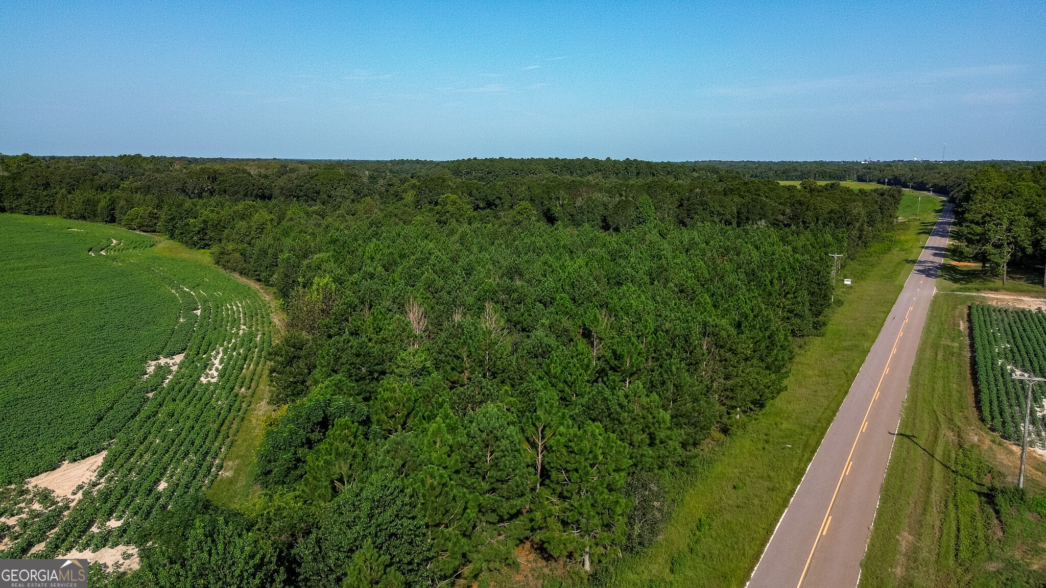 0 Pullen Road Property Photo 13
