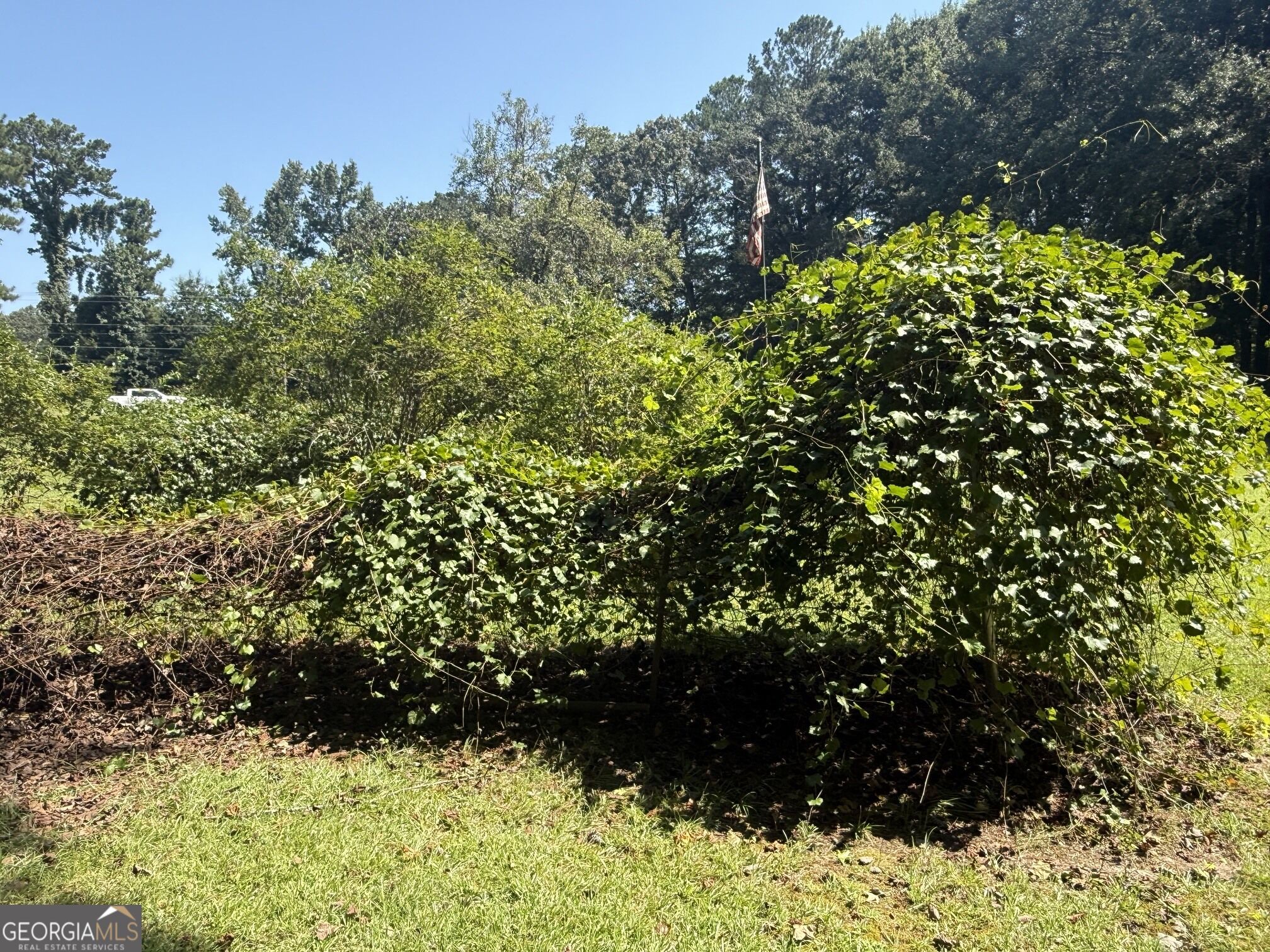 3100 Old Jonesboro Road Property Photo 12