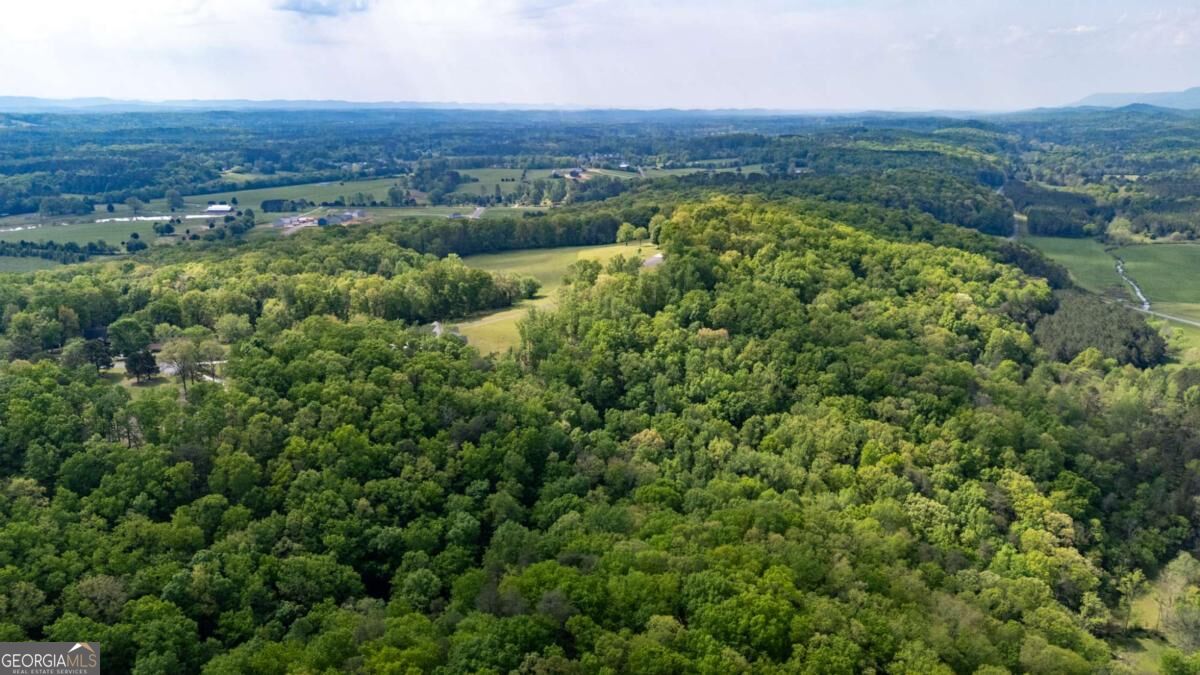 0 Bicentennial Trail Property Photo 2