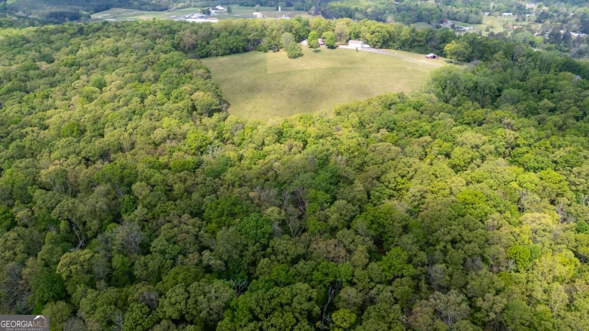 0 Bicentennial Trail Property Photo 10