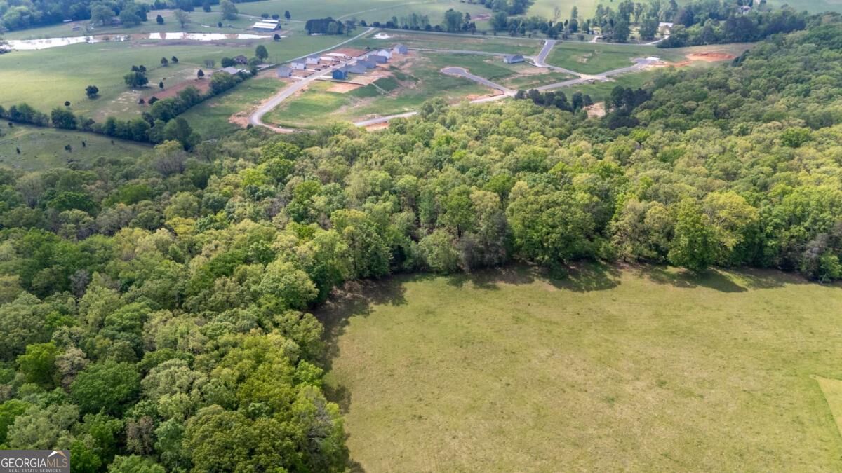 0 Bicentennial Trail Property Photo 15