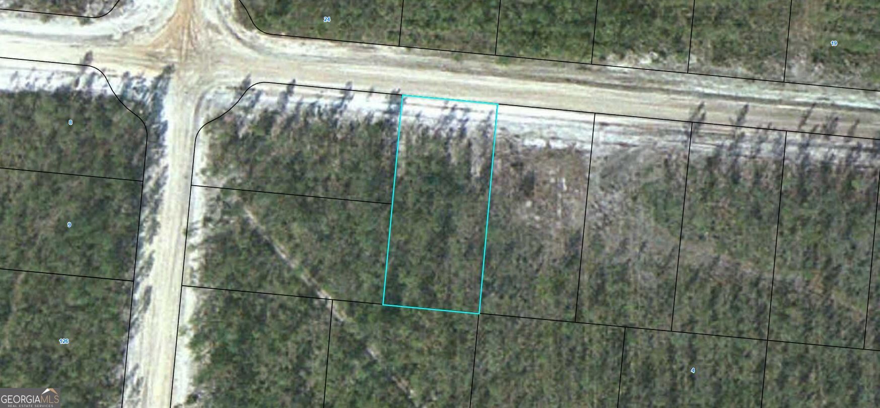Lot 12 Satilla Plantation Property Photo 1