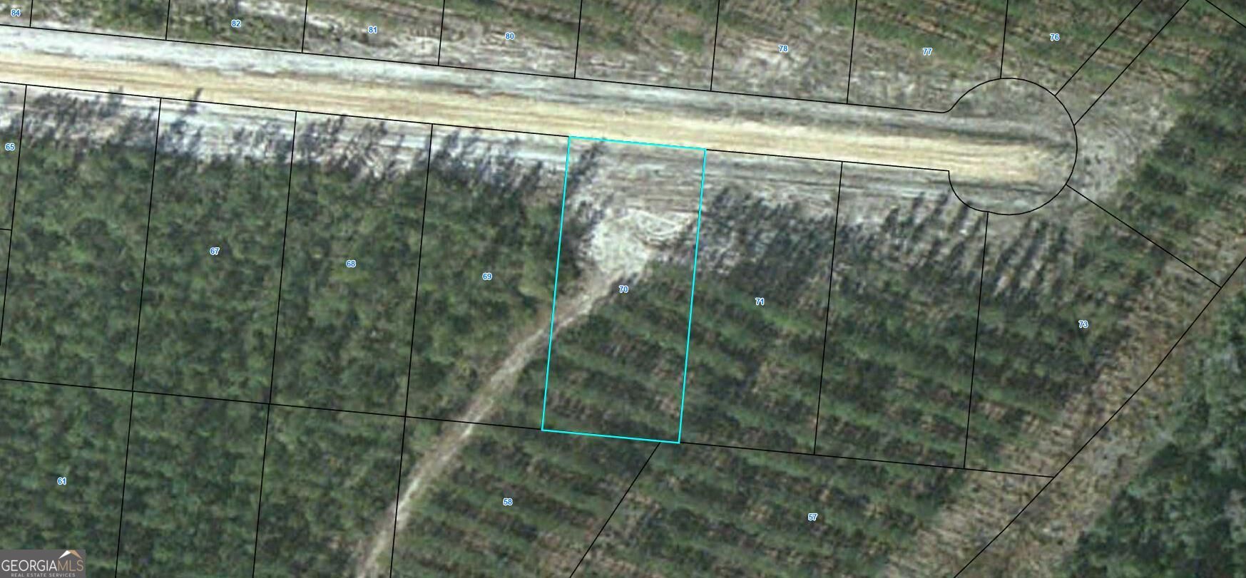 Lot 70 Satilla Plantation Property Photo 1