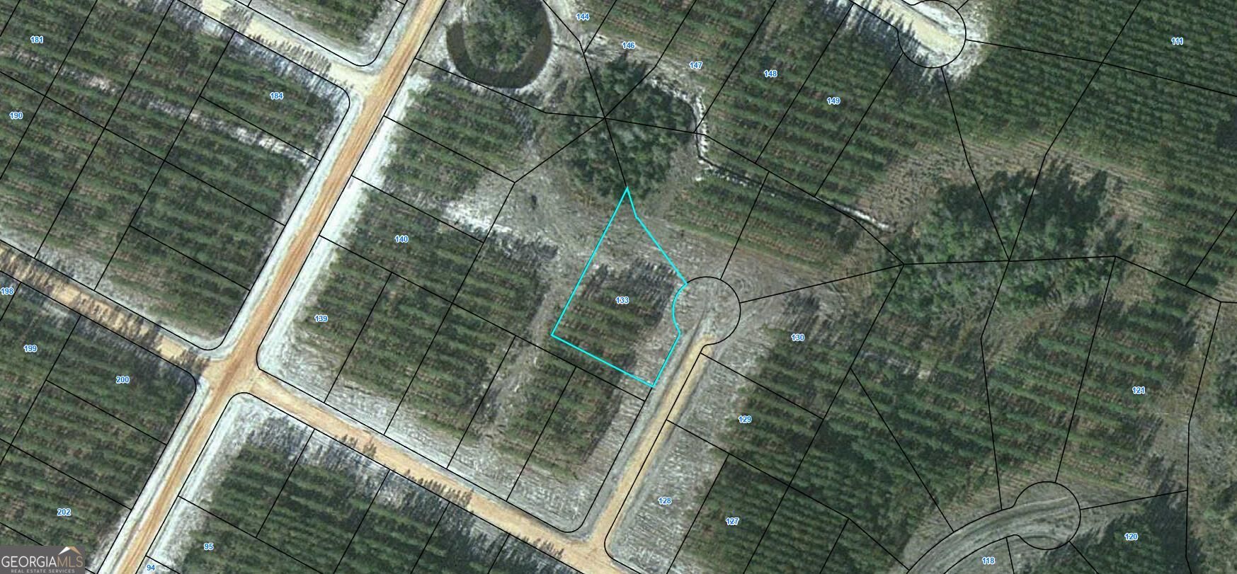 Lot 133 Satilla Plantation Property Photo 1