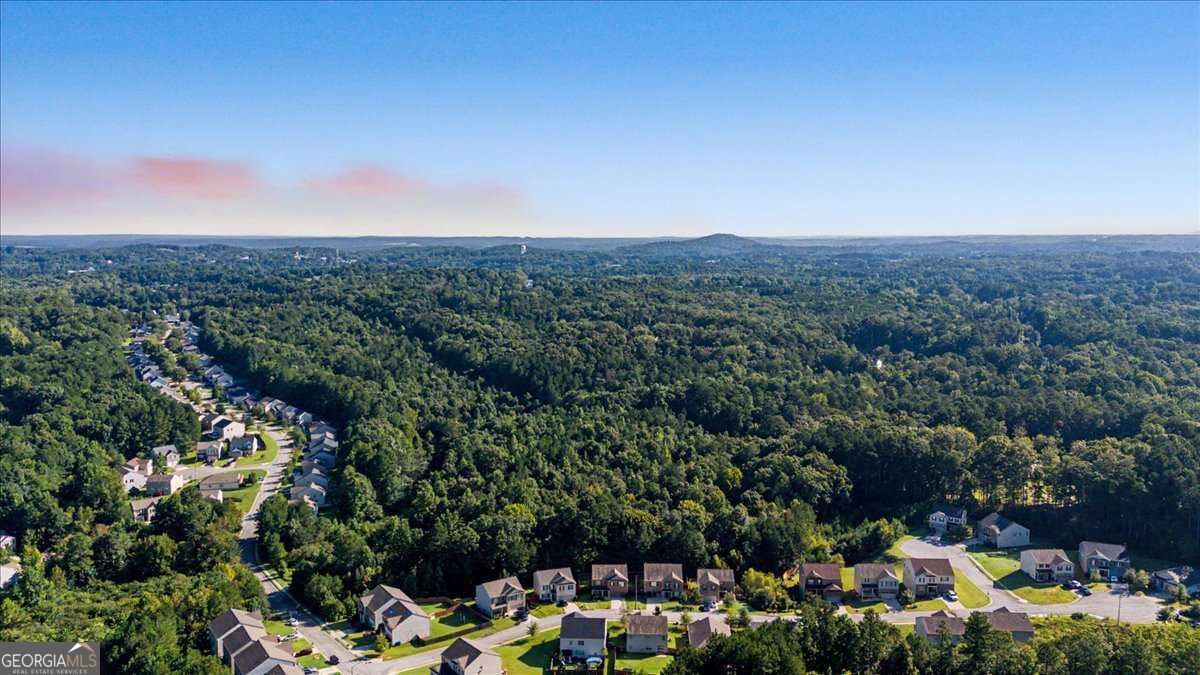 107 Arbor Creek Trail Property Photo 51