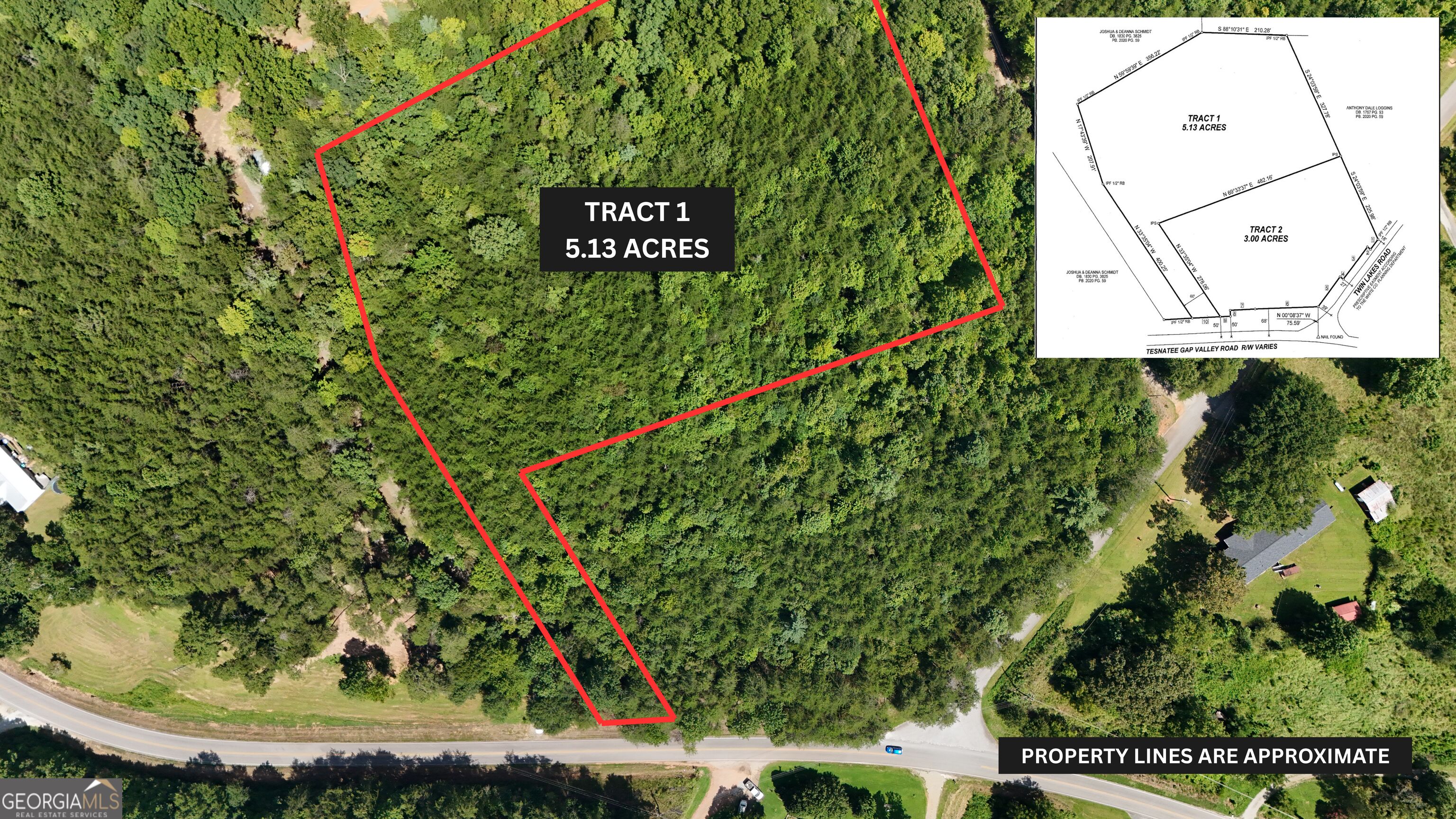 Tract 1 Tesnatee Gap Valley Road Property Photo 1