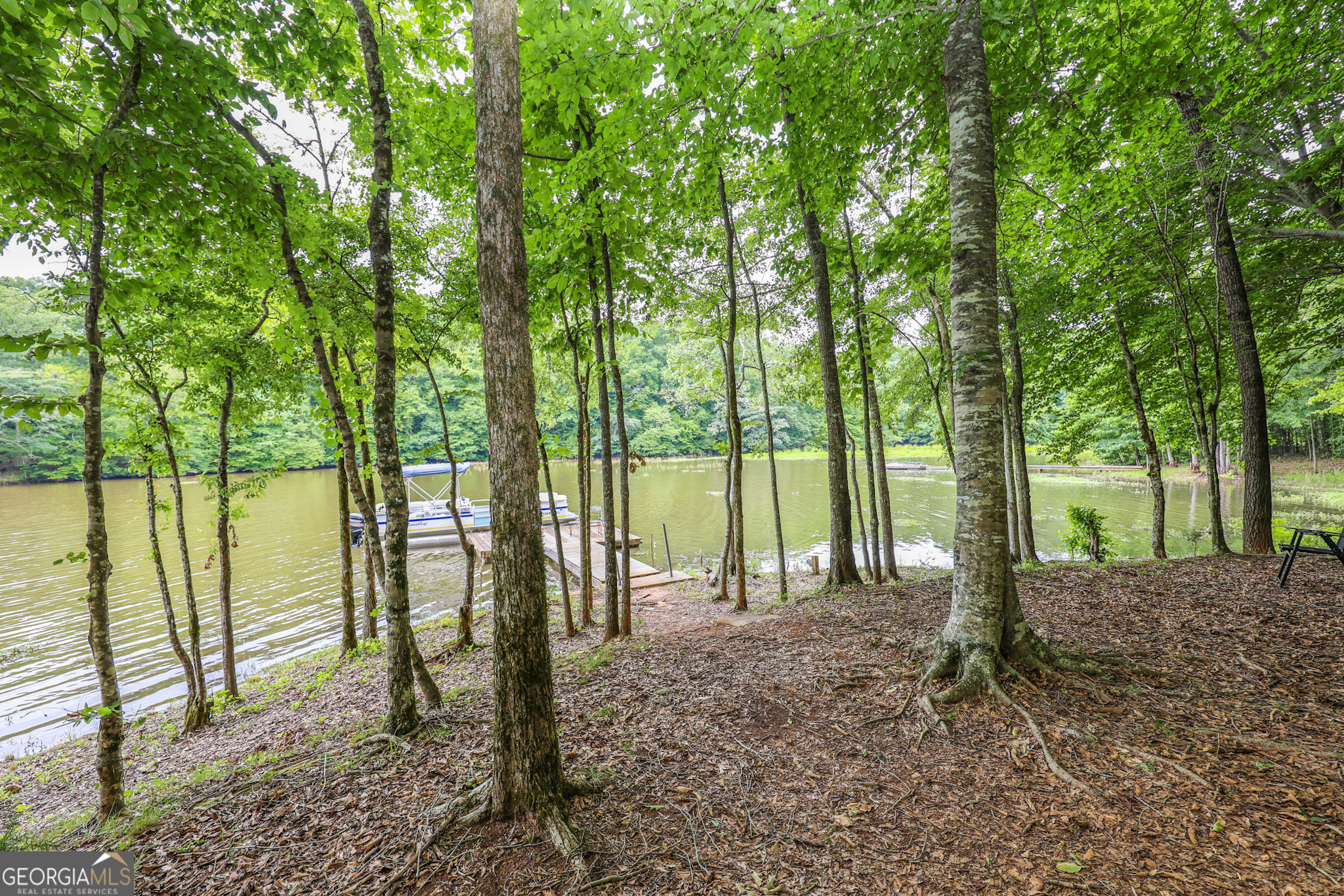 42 Deer Pointe Court Property Photo 7