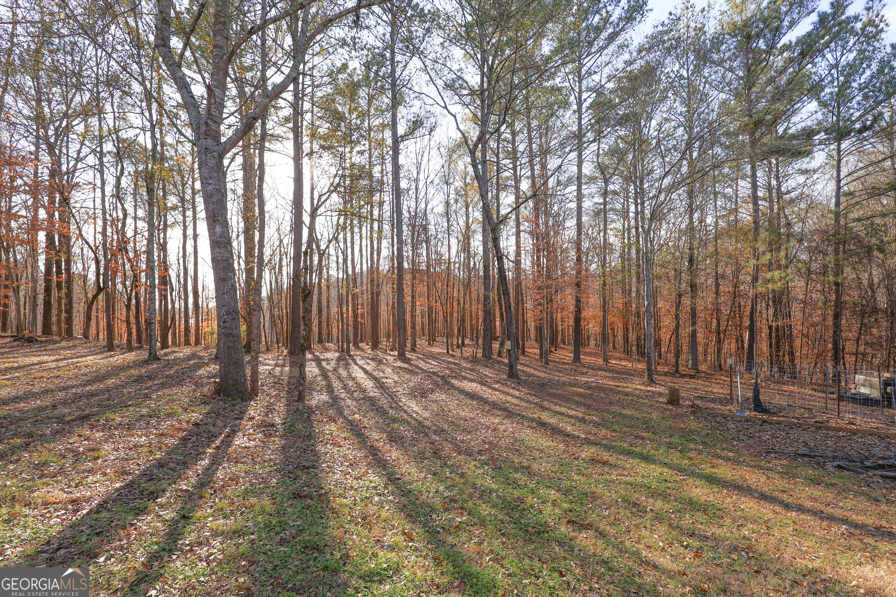 42 Deer Pointe Court Property Photo 55