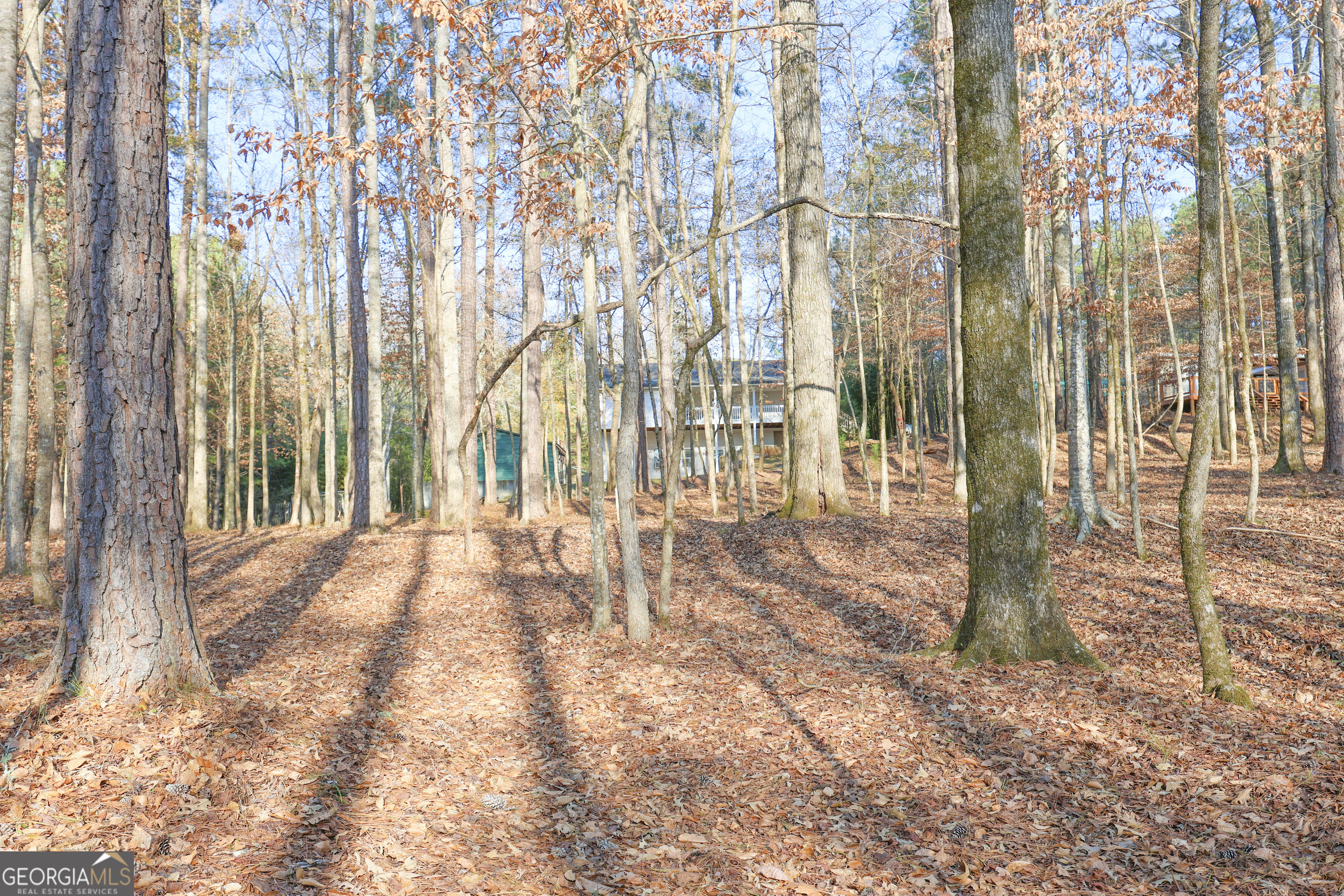 42 Deer Pointe Court Property Photo 56