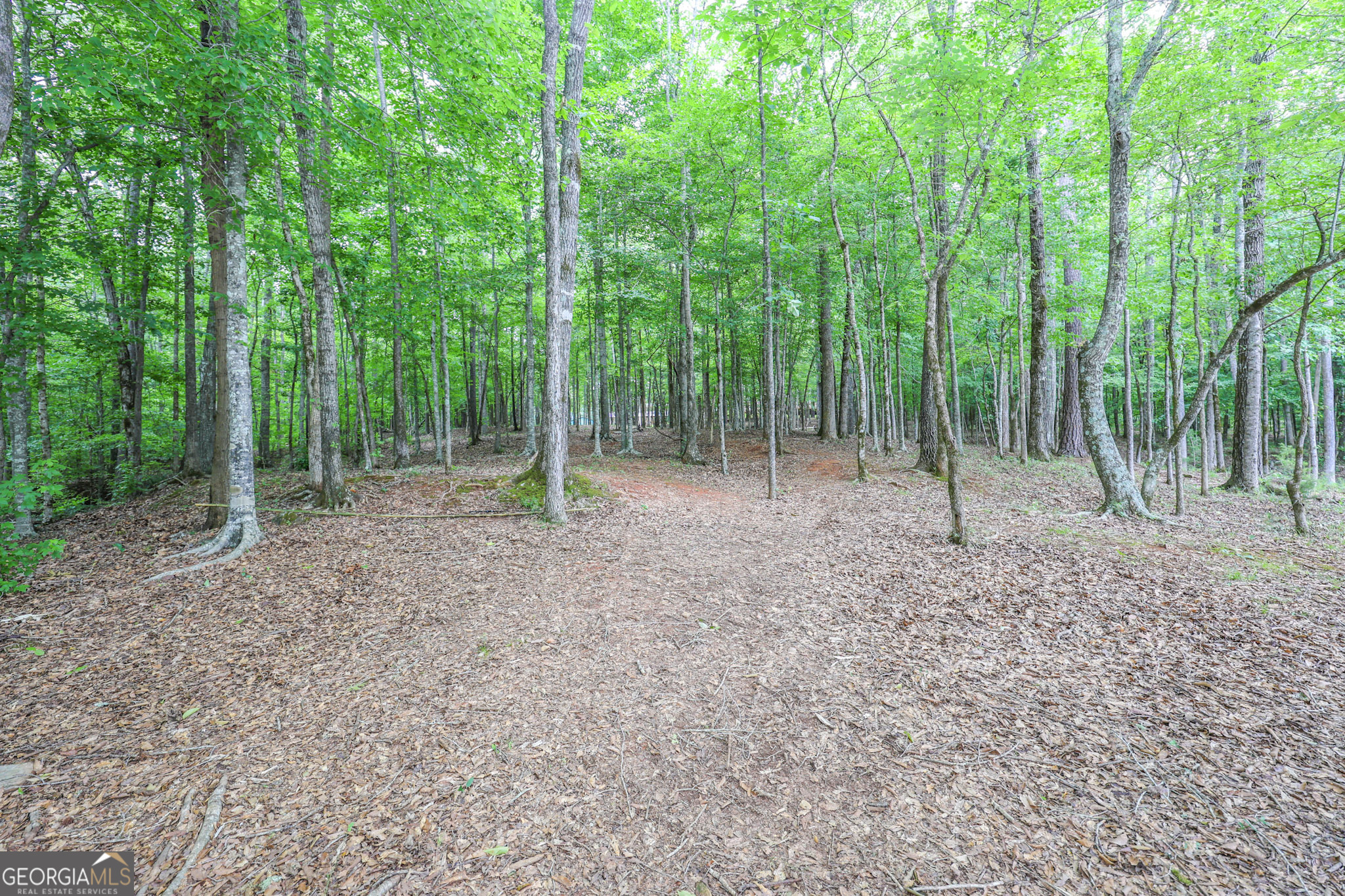 42 Deer Pointe Court Property Photo 66