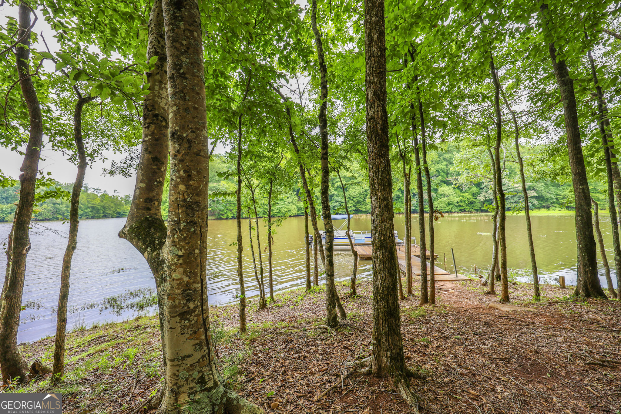42 Deer Pointe Court Property Photo 67
