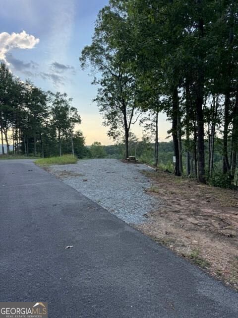 290 Eagle View Dr - Lot #20 Property Photo 3