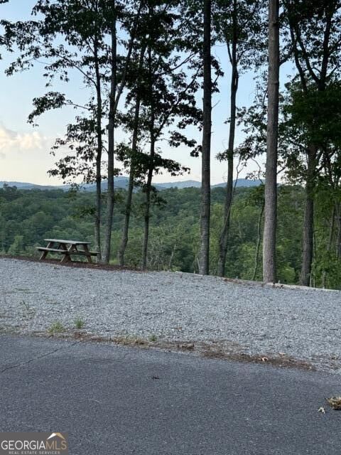 290 Eagle View Dr - Lot #20 Property Photo 4