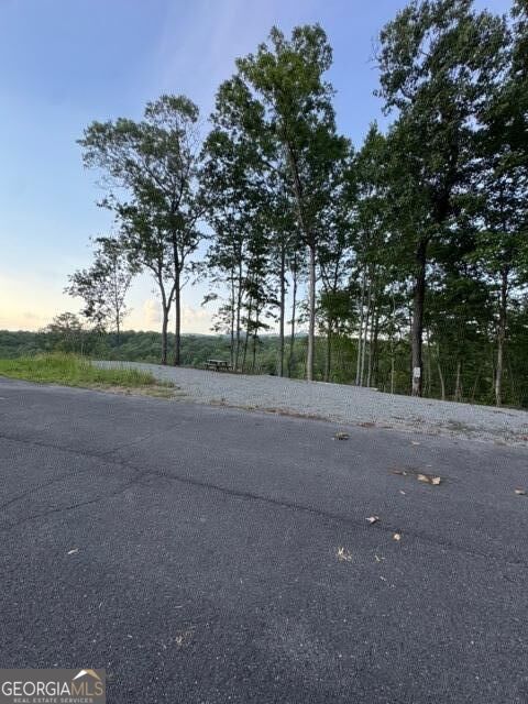 290 Eagle View Dr - Lot #20 Property Photo 5
