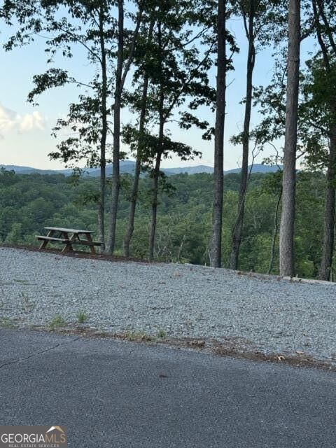 290 Eagle View Dr - Lot #20 Property Photo 6
