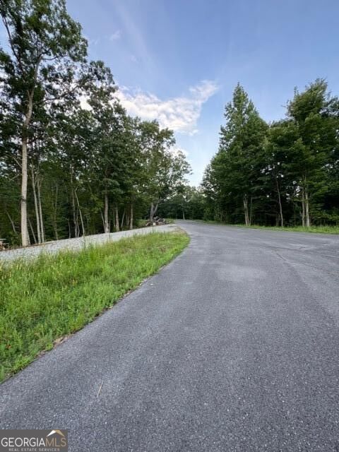 290 Eagle View Dr - Lot #20 Property Photo 8