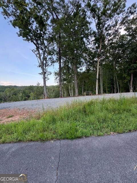 290 Eagle View Dr - Lot #20 Property Photo 10