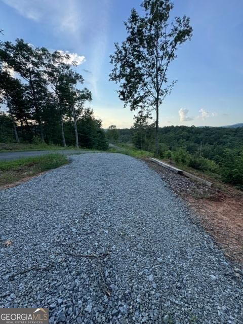 290 Eagle View Dr - Lot #20 Property Photo 11