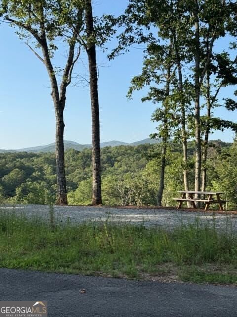 290 Eagle View Dr - Lot #20 Property Photo 14