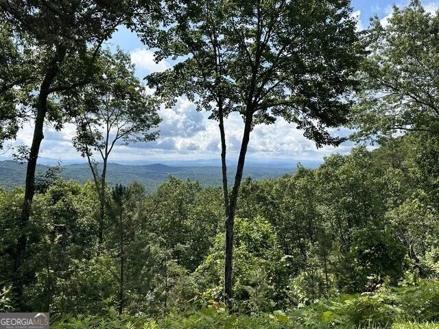 Lot 46 Utana Bluffs Trail Property Photo 1